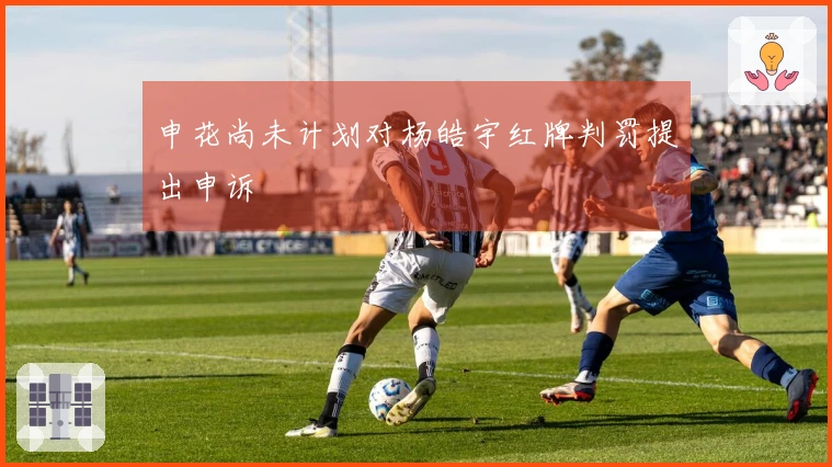 申花尚未计划对杨皓宇红牌判罚提出申诉