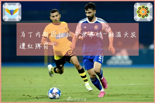 马丁内斯因拉扯卡尔弗特-勒温头发遭红牌罚下