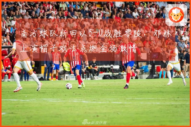 南方球队新田以5-0战胜零陵，邓林上演帽子戏法点燃全场激情