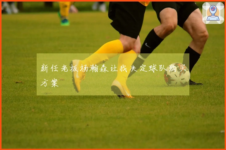 新任老板杨瀚森让我决定球队购买方案