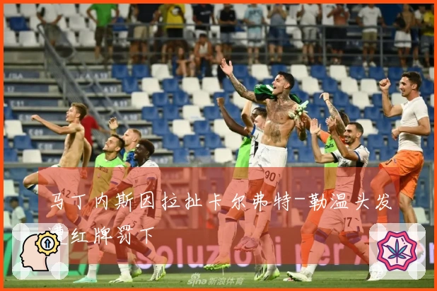 马丁内斯因拉扯卡尔弗特-勒温头发遭红牌罚下