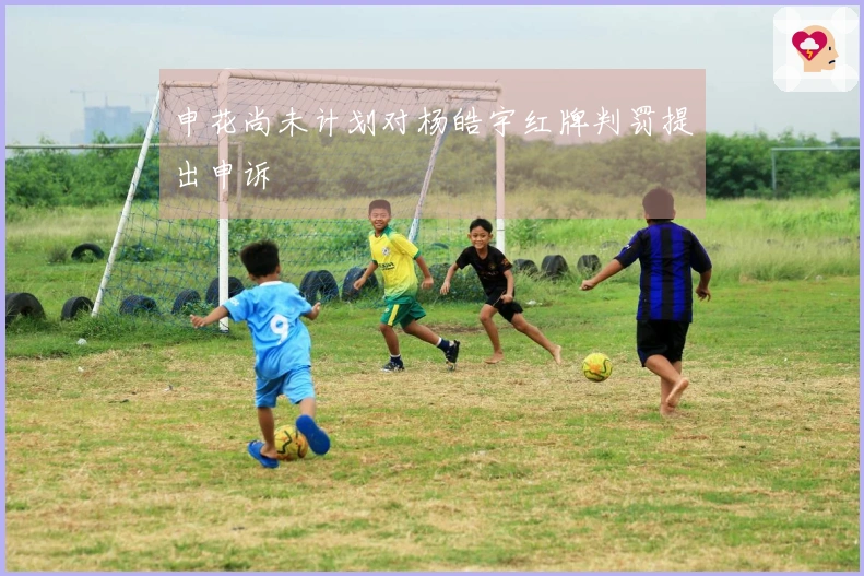 申花尚未计划对杨皓宇红牌判罚提出申诉